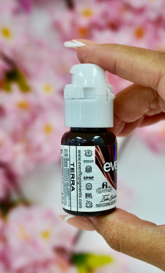 evenflo terra Evenflo : Terra – AuraBeautyInc.Shop